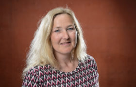 Hengst Sylvia